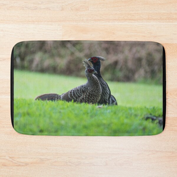 Item preview,  ring necked pheasant 4+2 designed and sold by KensLensDesigns.