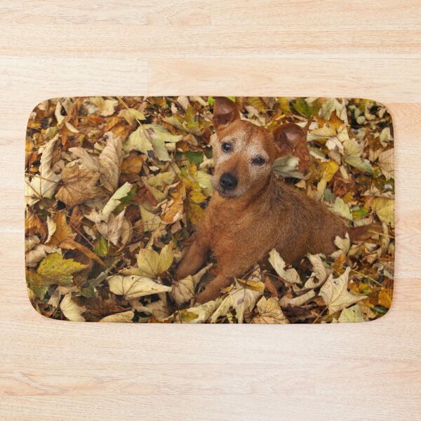 Item preview, Rustling in the leaves designed and sold by Fay Freshwater.
