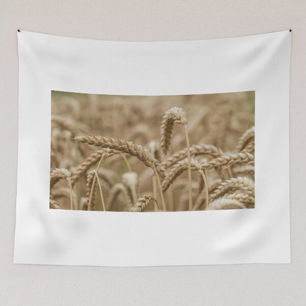 Item preview, Golden Wheat designed and sold by DiFigianoPhoto.