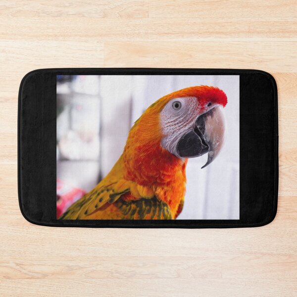 Item preview, Roscoe the Camelot Macaw designed and sold by ValueEveryThing.