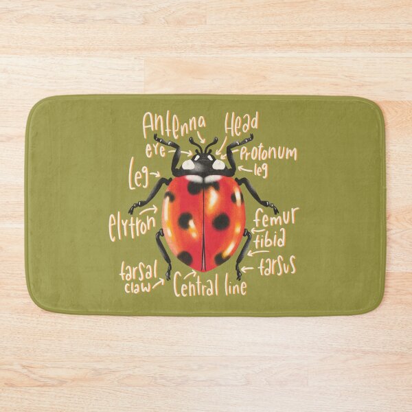 Item preview, Ladybug illustration with anatomy labels   designed and sold by NewBranchStudio.