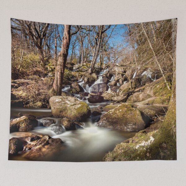 Item preview, Becky Falls in Spring designed and sold by Dave Hare Photography.