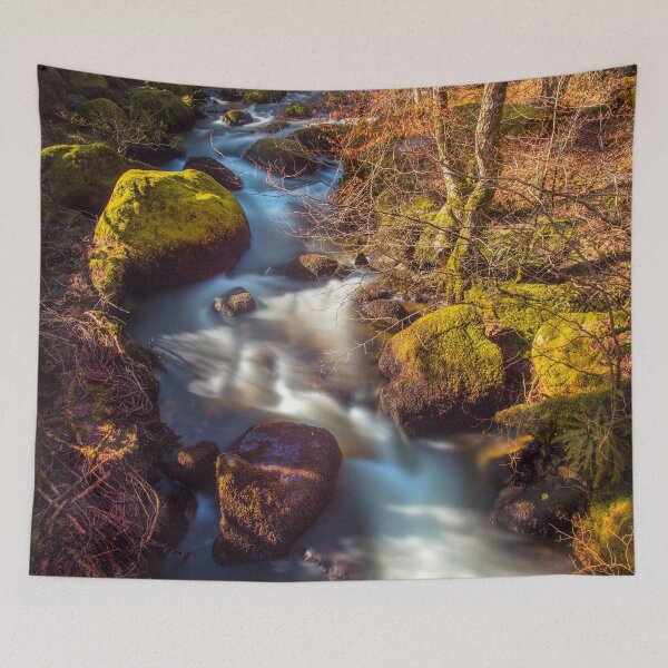 Item preview, Becky Falls, Dartmoor designed and sold by Dave Hare Photography.