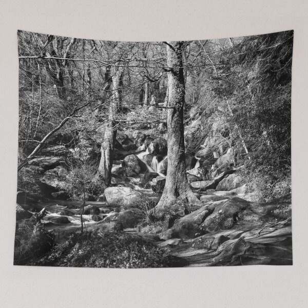 Item preview, Becky Falls, Devon. designed and sold by Dave Hare Photography.