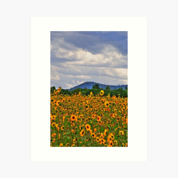 Item preview, Sunflowers Smiling designed and sold by Janette  Kimbrough.