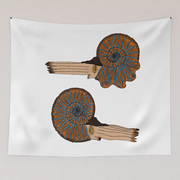 Item preview, Amoeboceras designed and sold by Stanton.