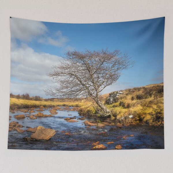 Item preview, Riverside Tree designed and sold by Dave Hare Photography.