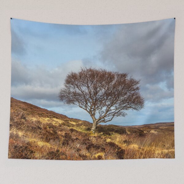 Item preview, Highland hillside tree designed and sold by Dave Hare Photography.