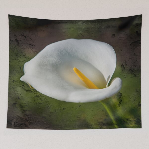Item preview, White Lily designed and sold by Dave Hare Photography.