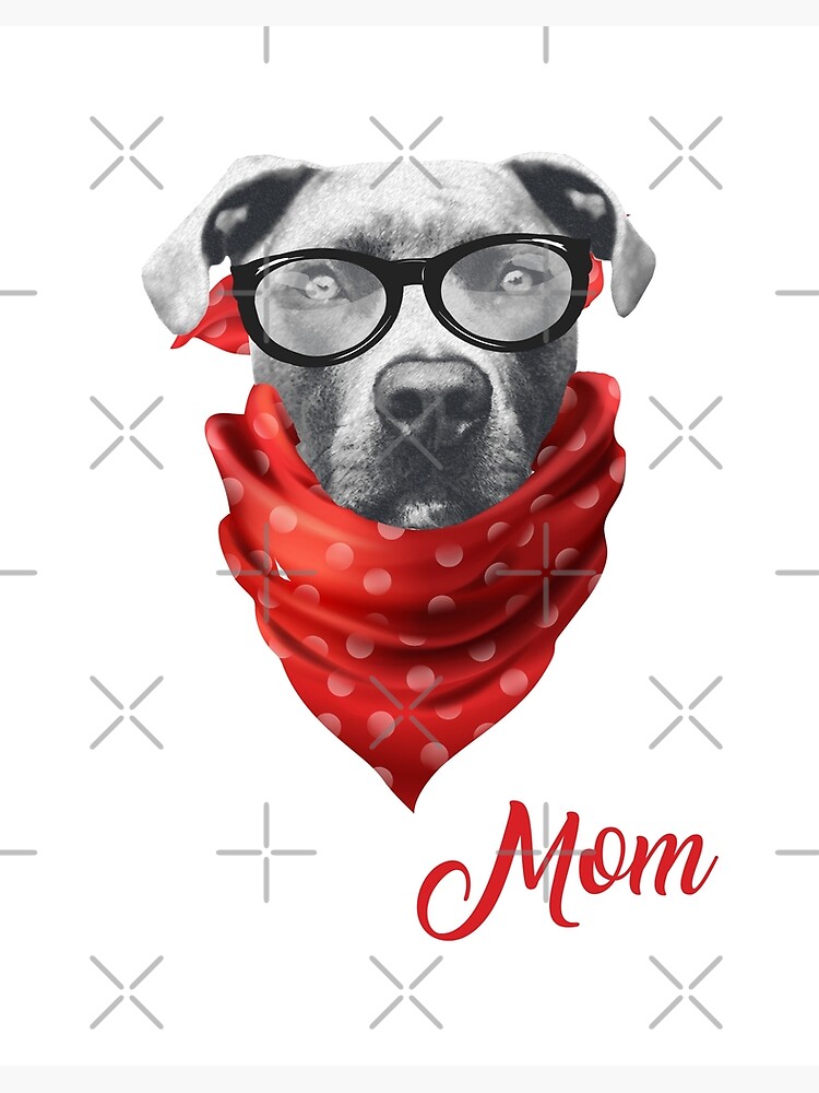 pittie mom