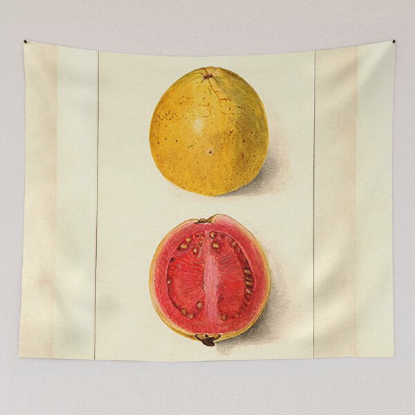Item preview, Vintage Botanical Fruit painting cut Guava designed and sold by Glimmersmith.