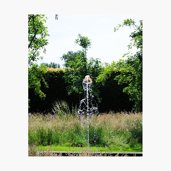 Fountain Of Fire Photographic Print