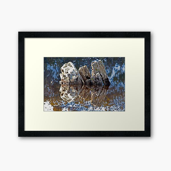 Item preview, Line Dancing in the Lake designed and sold by tinnieopener.