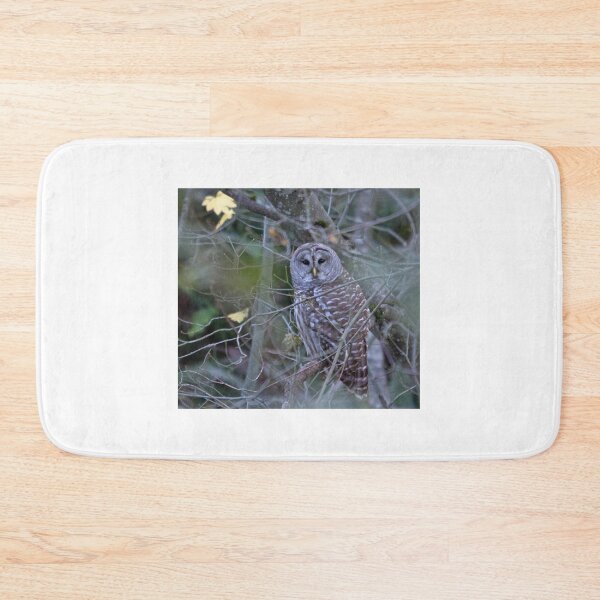 Item preview, Strix Varia up close... designed and sold by RichImage.
