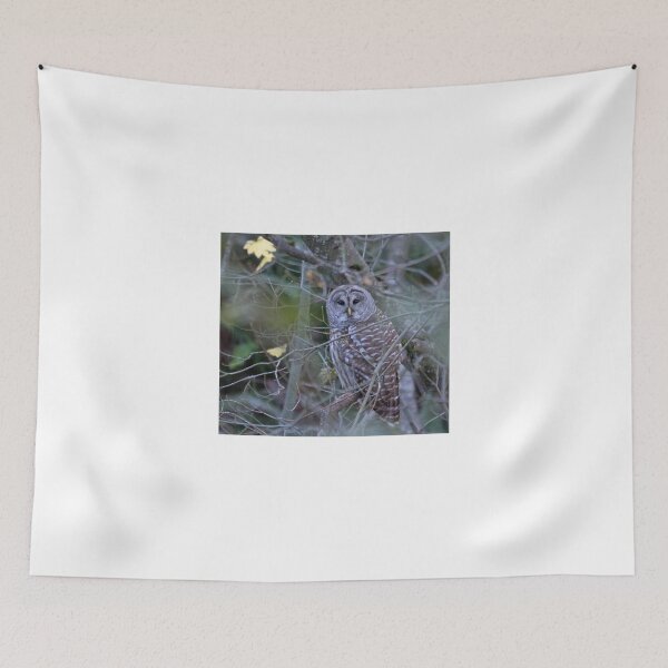 Item preview, Strix Varia up close... designed and sold by RichImage.