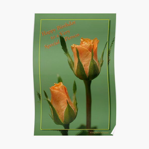 Special Person Birthday Poster