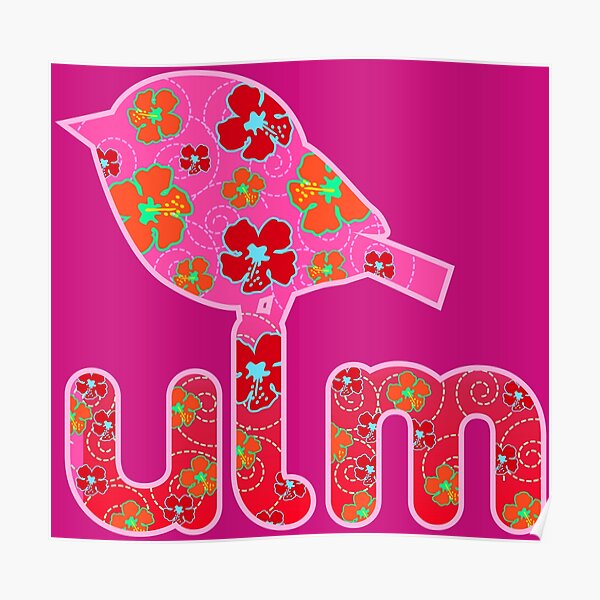 Ulmer Spatz Poster