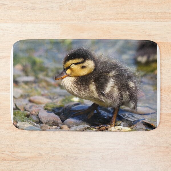 Item preview, Shh sleeping duckling designed and sold by GreyFeatherPhot.