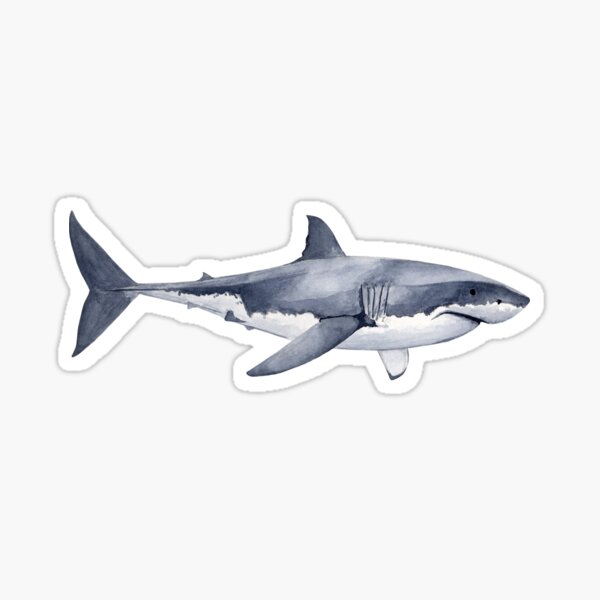 GREAT WHITE SHARK Sticker