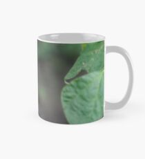Eurasian blue tit Mug