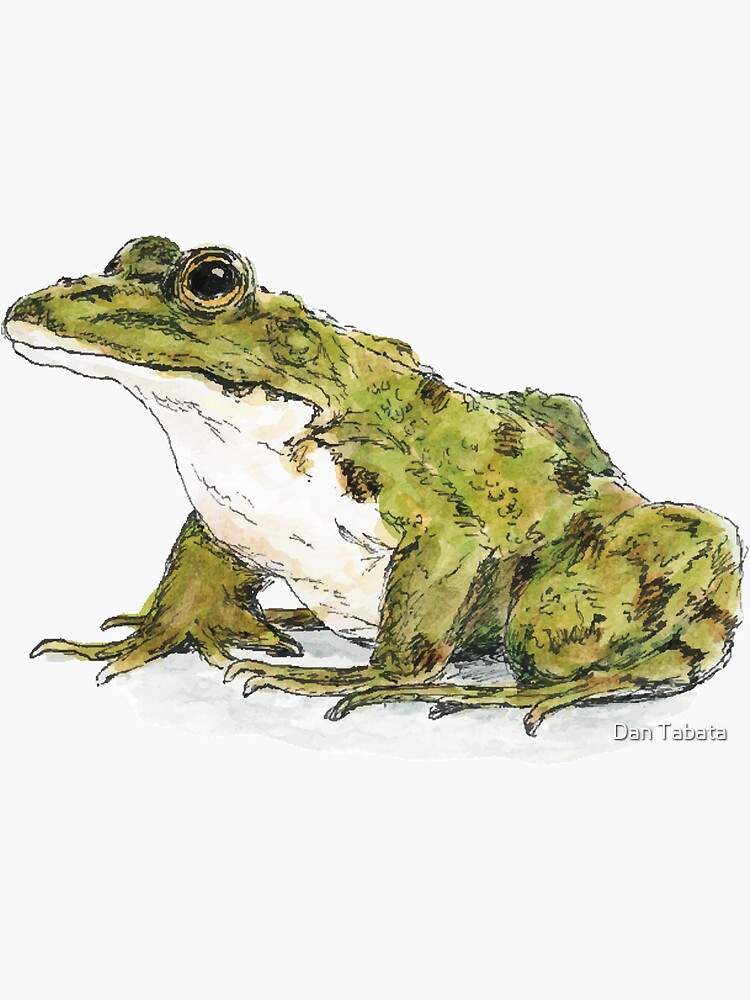 Frog by dmtab