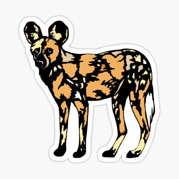 Afrikanischer Wildhund Sticker