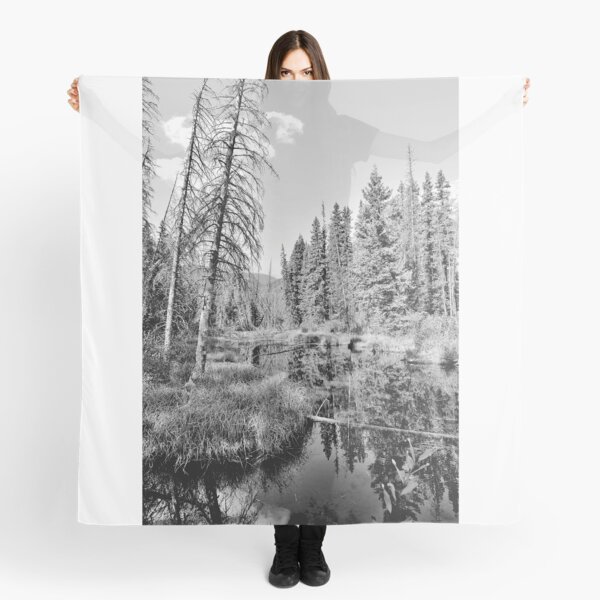 Black and White of Lorette Pond, Alberta, Canada Scarf
