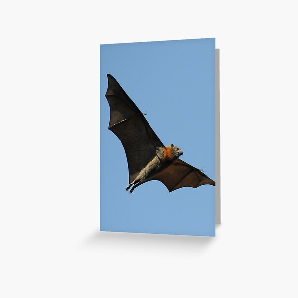 Flying Like a Bat Out of Hell Greeting Card