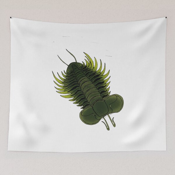 Item preview, Jujuyaspis designed and sold by Stanton.