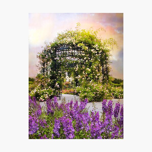 Item preview, Rose Pergola designed and sold by Jessica Jenney.