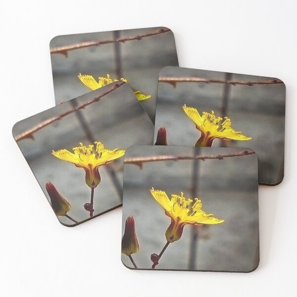 Item preview, NS Poket Yellowed© designed and sold by OmarHernandez.