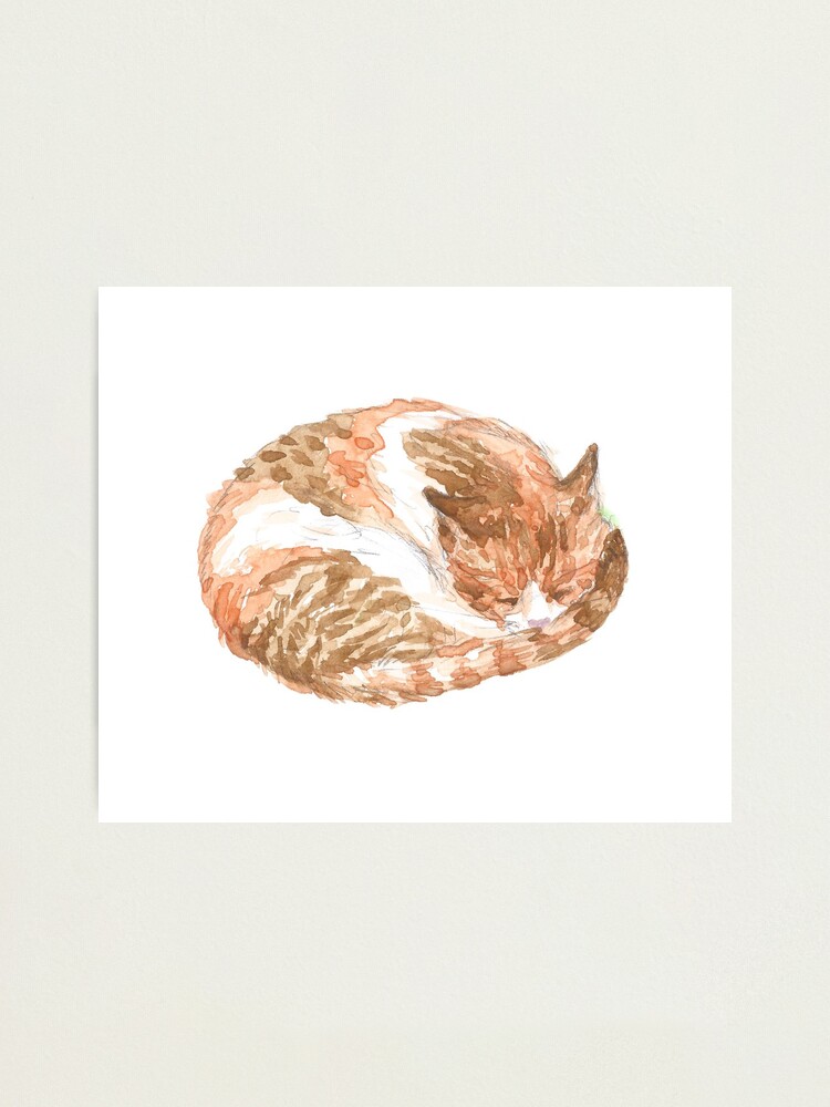 Alternate view of "Calico Love" Photographic Print