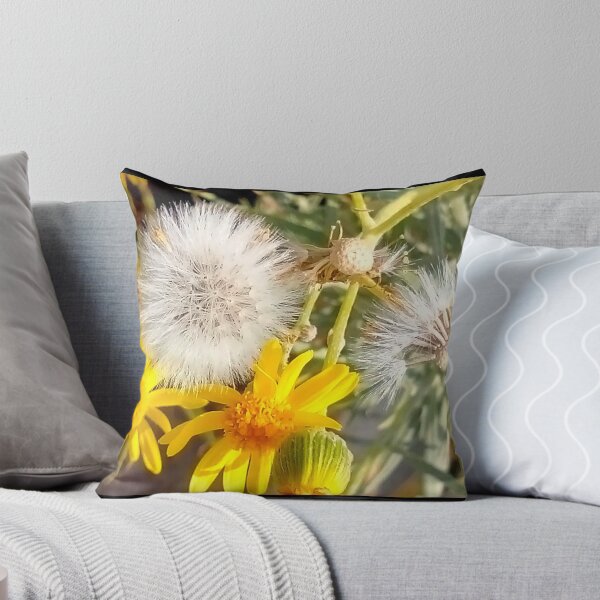 Item preview, Fase NS © designed and sold by OmarHernandez.