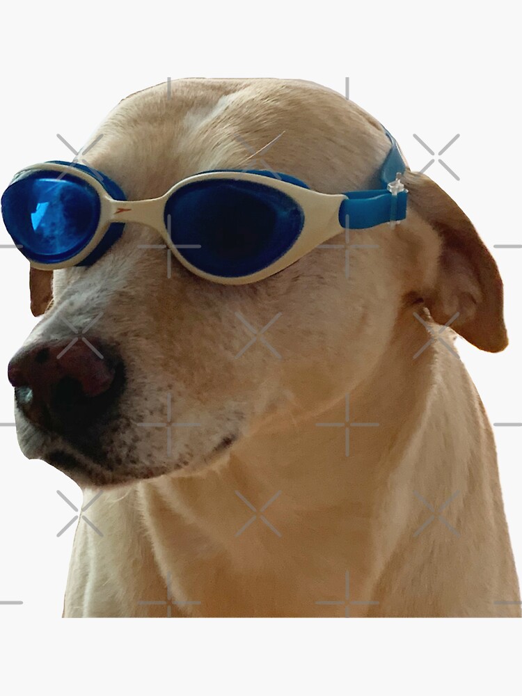 "Dog in goggles " Sticker by cameron304 Redbubble