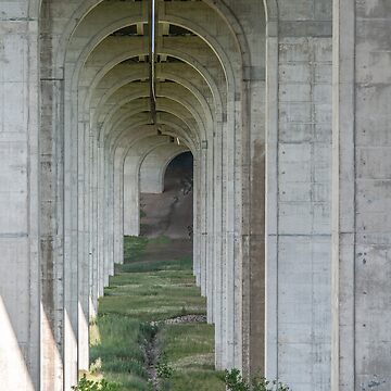 Artwork thumbnail, Following the endless arches. by ROBERT NIEDERRITER