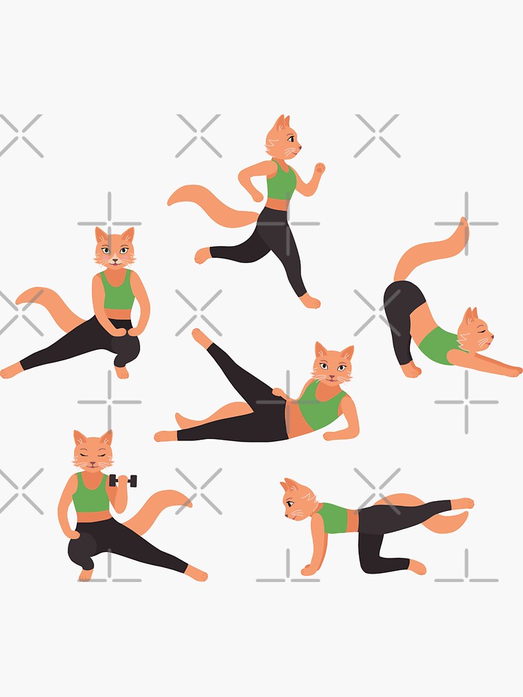 Ginger Fitness Cats by nadyanadya