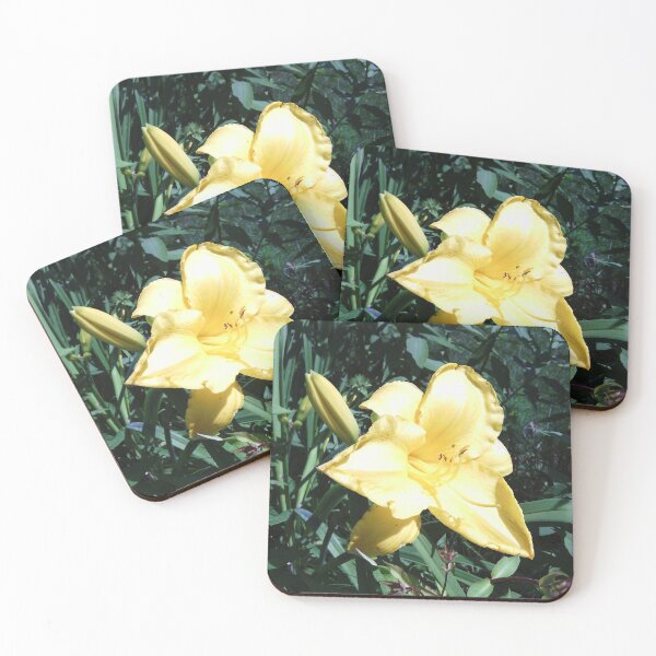 Item preview, Lirio amarillo, fotografía de la naturaleza por Courtney Hatcher designed and sold by cghatcherart.