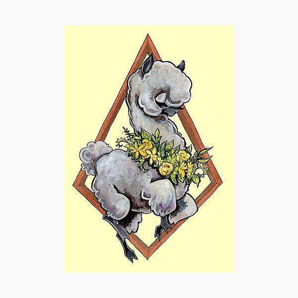 Diamond Alpaca Photographic Print