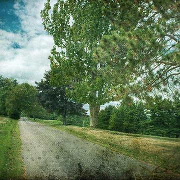 Artwork thumbnail, Golf Course Rd by aaronc