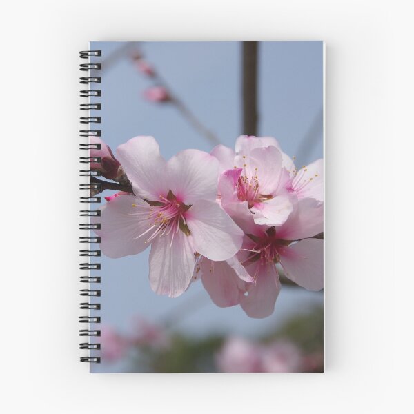 Item preview, Sweet Almond designed and sold by The Botanical Jason.