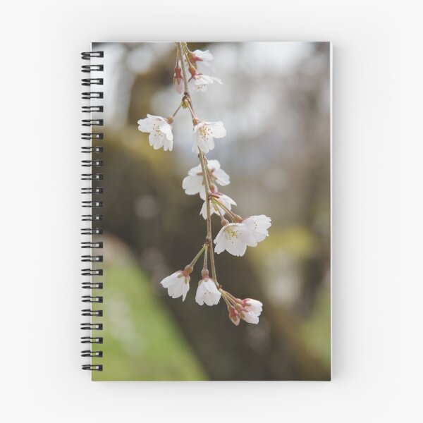 Item preview, Armenian Apricot designed and sold by The Botanical Jason.