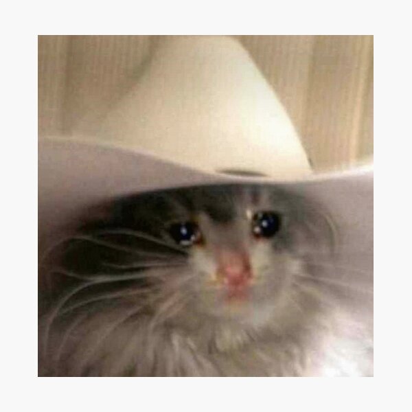 Impressions Photo Sur Le Theme Meme De Chat Triste Redbubble