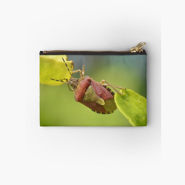 Item preview, Sloe Bug at a Stretch / Dolycoris baccarum designed and sold by relayer51.