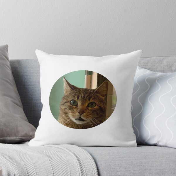 Item preview, moppy cat in a circle designed and sold by cgnewman00.