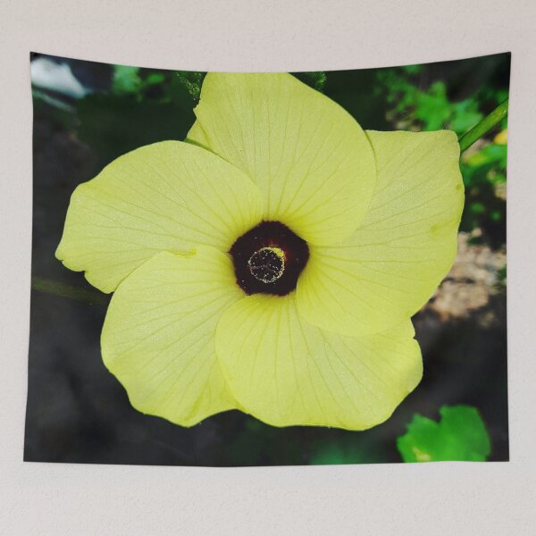 Item preview, Okra designed and sold by PlaidRat.