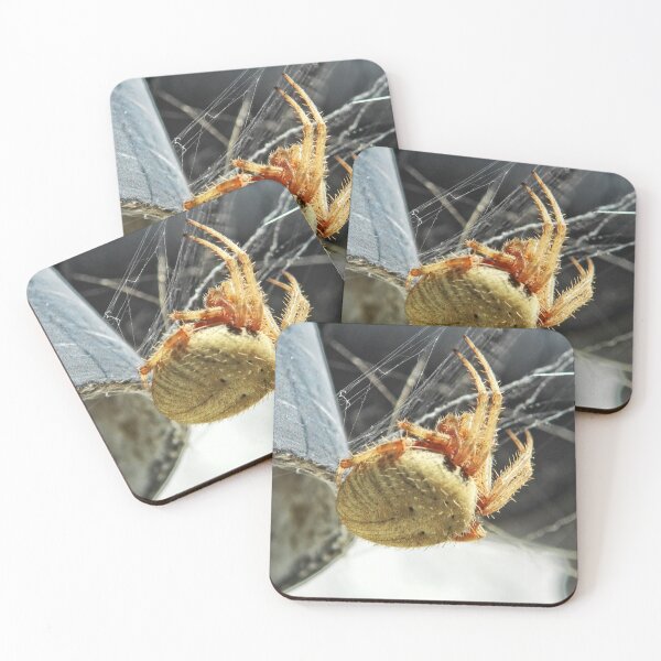 Item preview, NS Winter Spider IA © designed and sold by OmarHernandez.