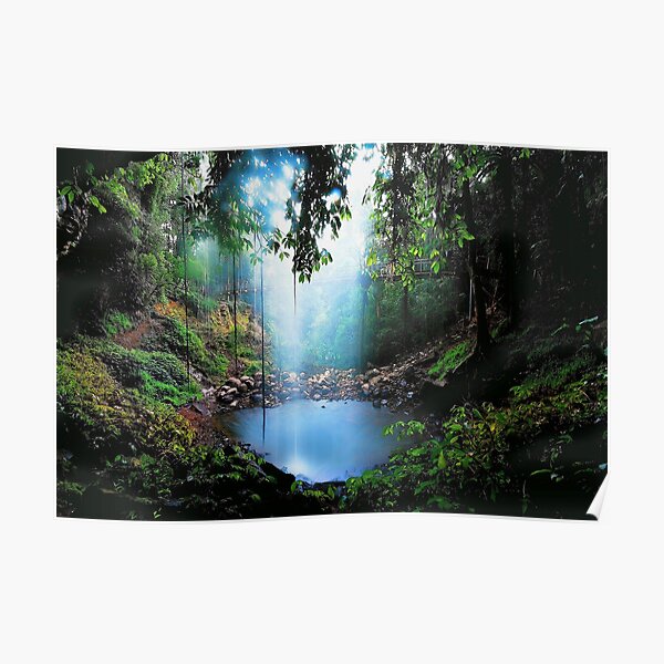 NATURAL BEAUTY Poster