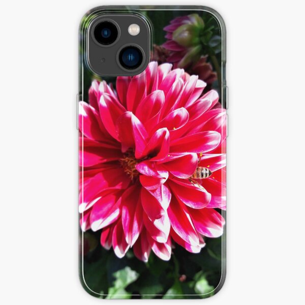 iPhone 14 - Soft