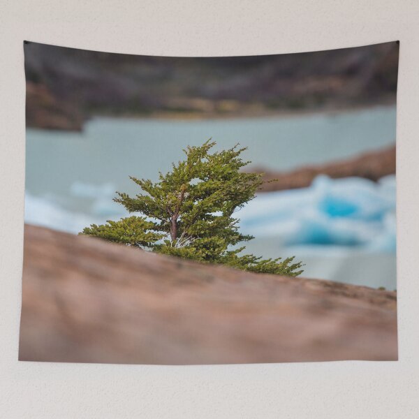 Item preview, Patagonian Tree designed and sold by Dave Hare Photography.
