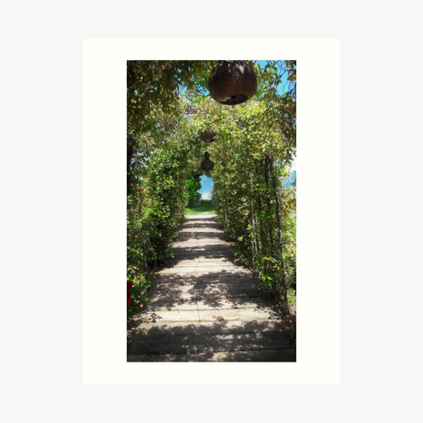 Art Print